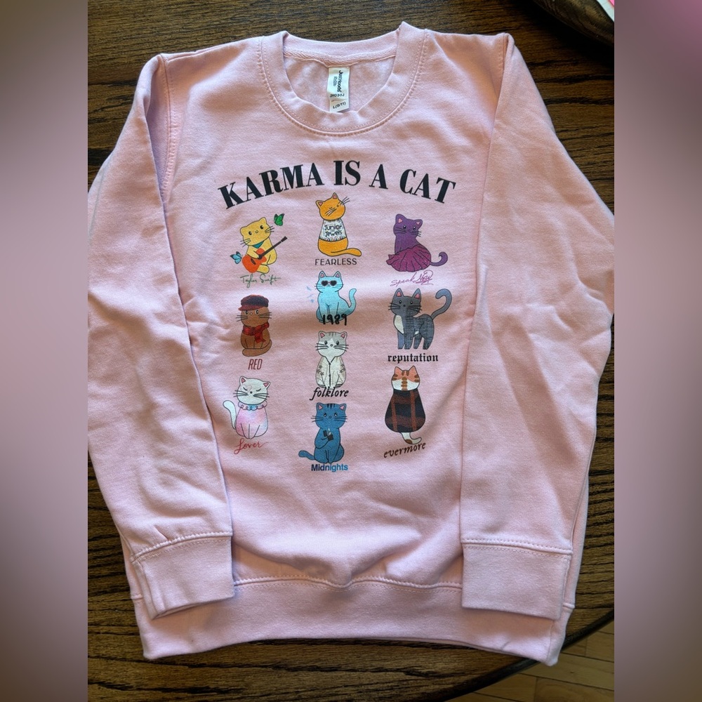 Swiftie Fans…Girls Pink Sweat Shirt. Custom order off Etsy. Large (9/11).